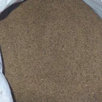 فروش بذر یونجه (1400