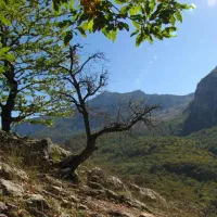 زمین شهمیرزاد