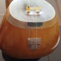 تار دو مهر ویژه رضا کلهر|سازهای سنتی|اصفهان, مفتح|دیوار