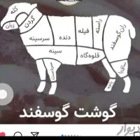 ذبح حلال گوسفند و قصابی در محل(قصاب شرعی سیار)|خدمات پذیرایی، مراسم|اردبیل, |دیوار