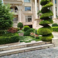خدمات باغبانی به تمام نقاط تهران|خدمات باغبانی و درختکاری|تهران, پاسداران|دیوار