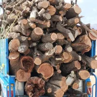 چوب کنده درخت