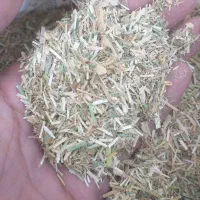 کاه یونجه فریمان