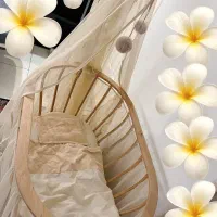 گهواره کنارتختی همراه با پشه بند و سرویس خواب|تخت و سرویس خواب|تهران, خلیج فارس|دیوار