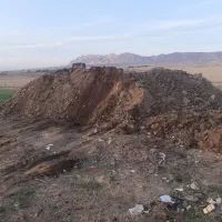 کود حیوانی|خدمات باغبانی و درختکاری|مشهد, پنجتن|دیوار
