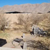 باغ بدون مشکل جهاد باآب وبرق|فروش زمین و ملک کلنگی|شهرضا, |دیوار