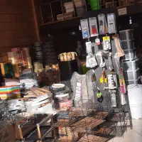 پلاسکو و بلوریجات