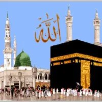 فیش حج عمره الویت 490