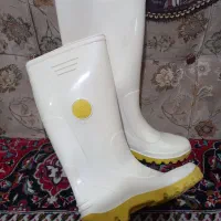 چکمه|کیف، کفش، کمربند|کازرون, |دیوار