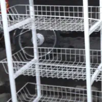 پایه رگال وتیله وایینه|فروشگاه و مغازه|مشهد, طلاب|دیوار