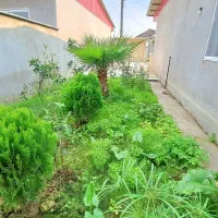 ویلاباغ۲۹۰متری نوساز|فروش خانه و ویلا|دابودشت, |دیوار