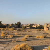 ۳ قطعه زمین مسکونی بلوار نخل ، کنار مسجد|فروش زمین و ملک کلنگی|ایرانشهر, |دیوار