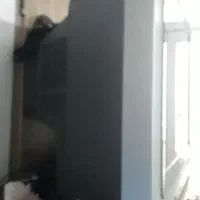 تلویزیون LG  اصل