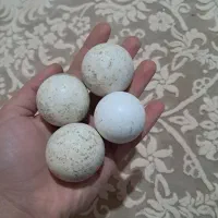 سنگ الماس اسیاب