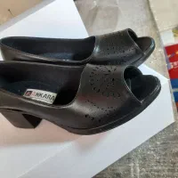 کفش زنانه|کیف، کفش، کمربند|تبریز, |دیوار