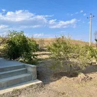 فروش باغی در چاوقون|فروش خانه و ویلا|شوط, |دیوار