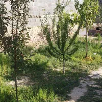 خونه ویلای در روستا چناران
