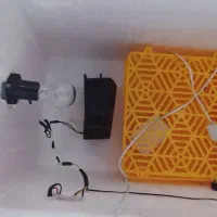 دستگاه جوجه کشی