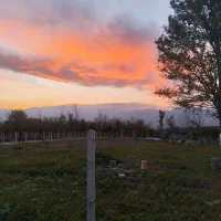 466متر زمین روستای بربجار