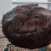 کلاه زمستانی روسی..|لباس|مشهد, مصلی (کارمندان اول)|دیوار