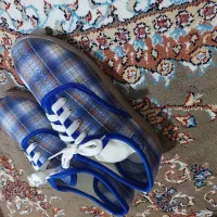 کالج|کیف، کفش، کمربند|اردکان, |دیوار