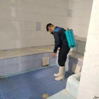 شرکت خدمات سمپاشی بهداشت گستر سم پاشی ساس موش