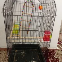 بدلیل نداشتن مکان