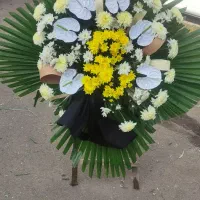 تاج گل جهت انواع مراسم|خدمات پذیرایی، مراسم|ری, دولتآباد|دیوار