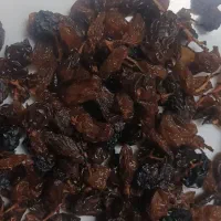 کشمش|خوردنی و آشامیدنی|نیشابور, گنبد سبز|دیوار