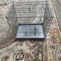 قفس غلامی سالم بدون شکستگی|لوازم جانبی حیوانات|تهران, تهرانسر غربی|دیوار