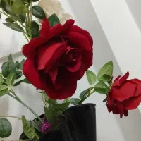 گلدان شیشه ای|صنایع دستی و سایر لوازم تزئینی|تهران, مشیریه|دیوار