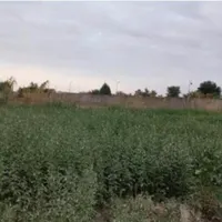 قابل معاوضه.کشاورزی باغی1کیلومترپایین ترازترمینال|فروش زمین و ملک کلنگی|گرگان, |دیوار