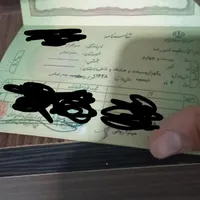 شناسنامه گم شده