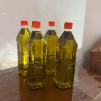 روغن زیتون/ اصل طارم|خوردنی و آشامیدنی|رشت, آزادگان|دیوار