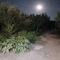 اجاره-روزانه-باغ-ویلا