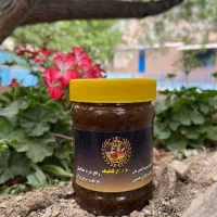 جذب نیرو، استخدام، کار با آموزش، اینستاگرام