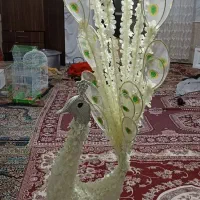 طاووس|صنایع دستی و سایر لوازم تزئینی|مشهد, ایوان|دیوار