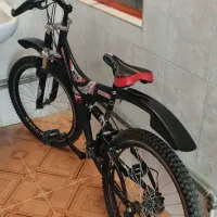 دوچرخه در حد نوع