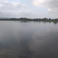 سریدار خانواده