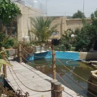 سالندار آقا یا خانم