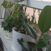 فروش اپارتمان مسکن مهردانشگاه