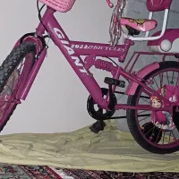 دوچرخه دخترانه السا
