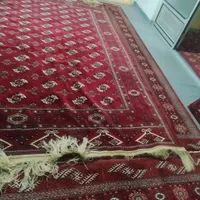 فرش دستباف ده متری|فرش|آق قلا, |دیوار