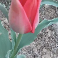 راهنمایی