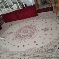 فرش دستباف وماشینی|فرش|مشهد, امامیه (شهرک غرب)|دیوار
