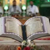 داوطلبانه|فعالیت داوطلبانه|تهران, میدان ولیعصر|دیوار
