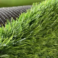 چمن مصنوعی برای مدارس|خدمات باغبانی و درختکاری|آمل, |دیوار