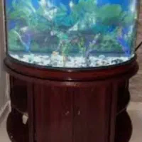 اکواریوم نیم دایره وارداتی بسیار زیبا