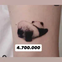 تتوبدن|خدمات آرایشگری و زیبایی|رباط‌کریم, رباط‌کریم|دیوار