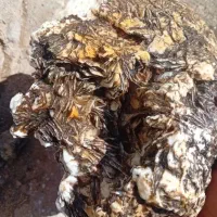 عقیق رنگی|کلکسیون و سرگرمی|تهران, پرستار|دیوار